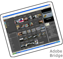 Screenshot of Adobe Bridge